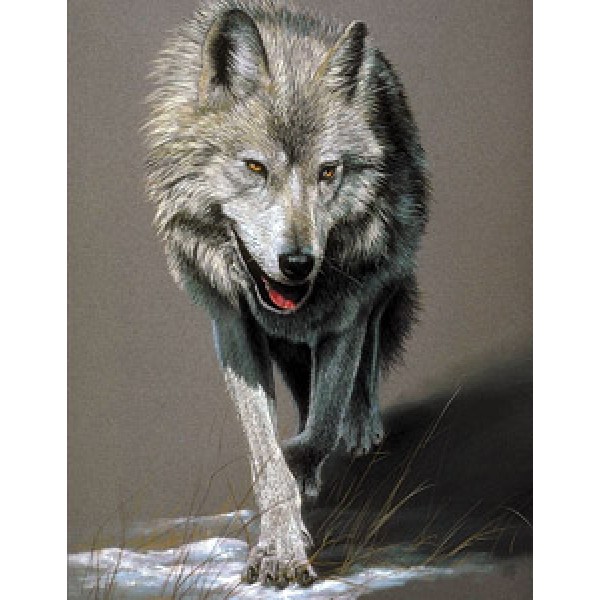 Бегущий волк (разм. 50х35)