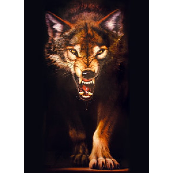 Волк с оскалом (разм. 50х35)