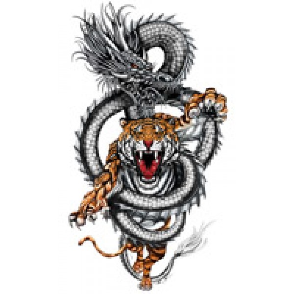 дракон с тигром 48х28
